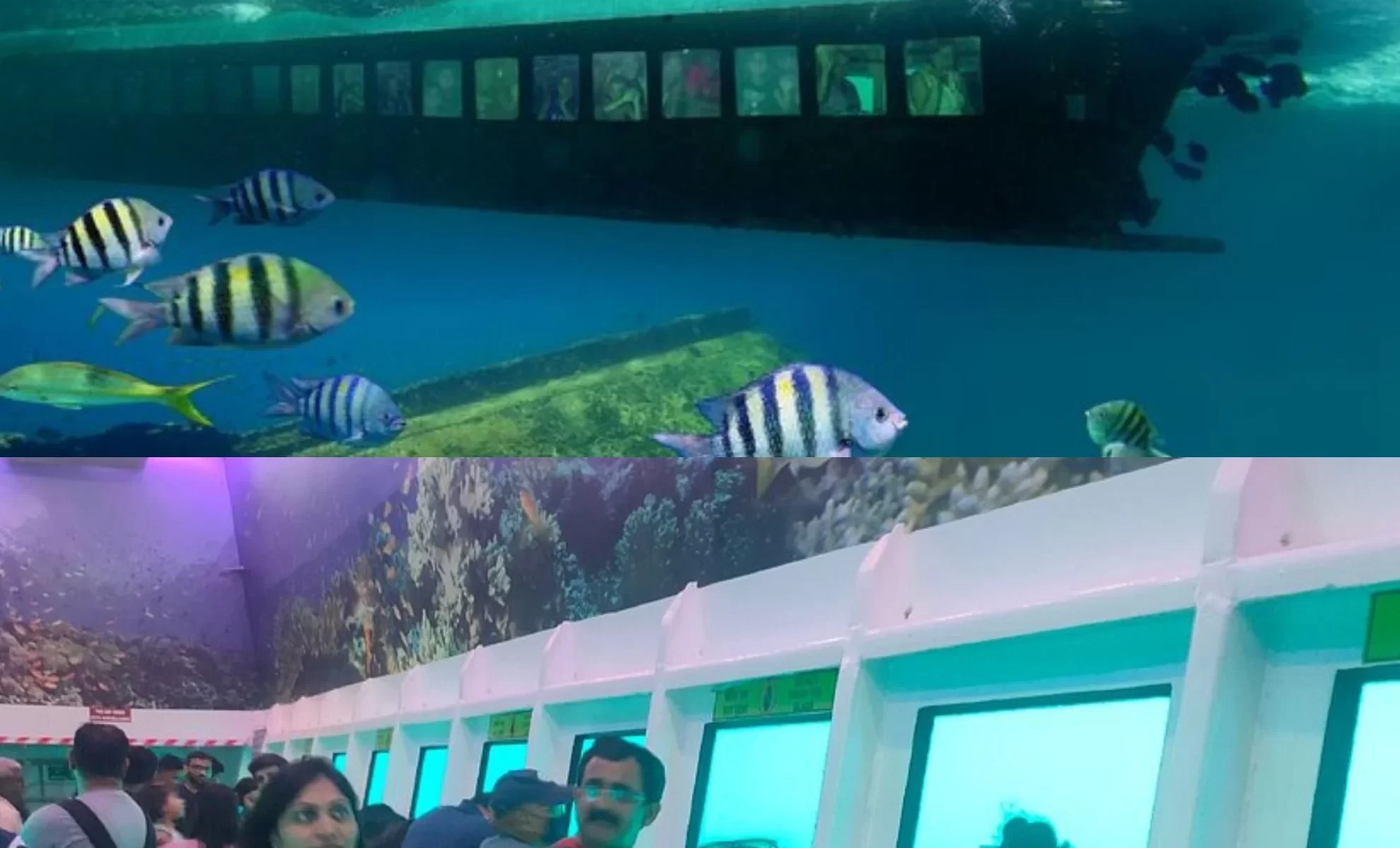 coral safari in andaman