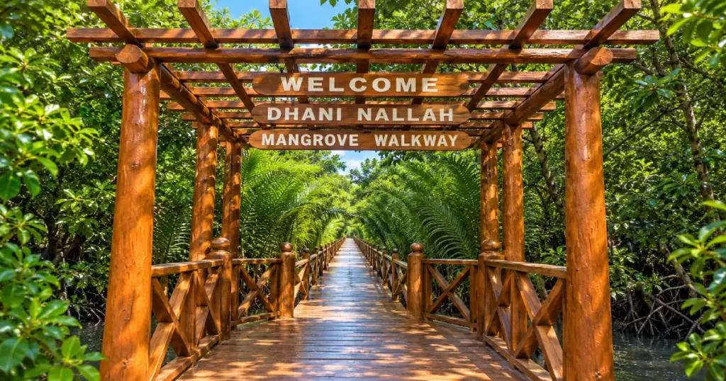 Dhani Nallah Mangrove Nature Walkway